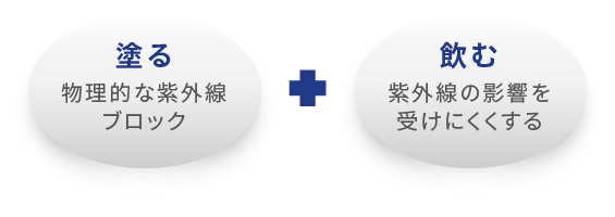 正規通販 Uブロック U Vlock