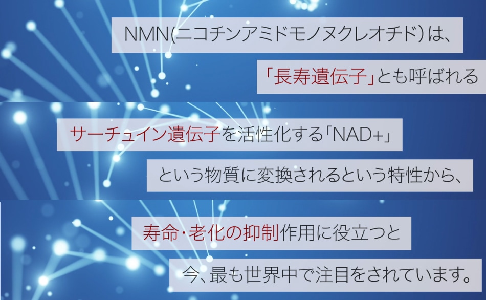 正規通販 Dr.Noble NMN 7500