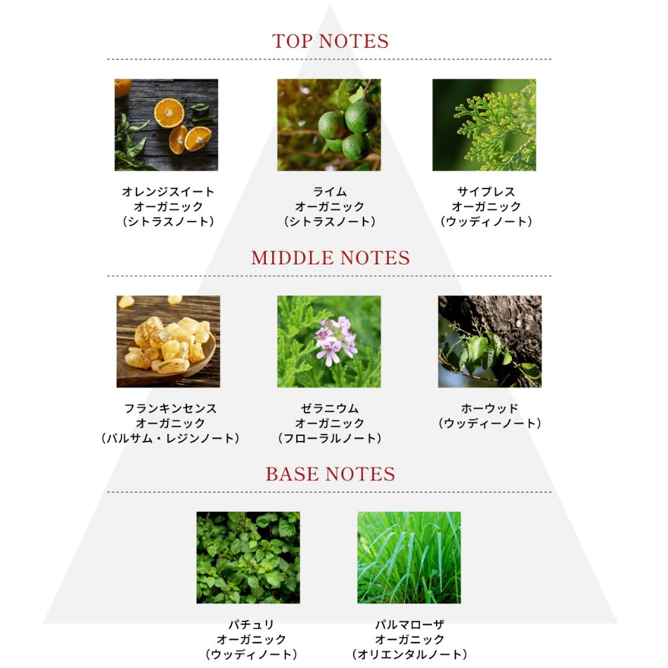 yuzu_rinkoさん専用フォーミングＷ３、フェイスＷ本体+レフィル Shin's Music DUMBLOID ODS【即納可能】2025/9/8更新 シンズ