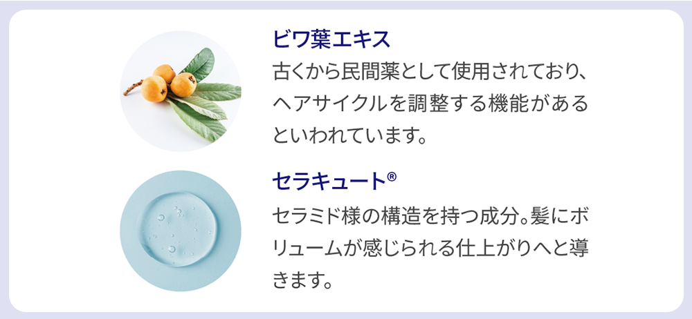 12種のうるおい成分で、頭皮環境を整える