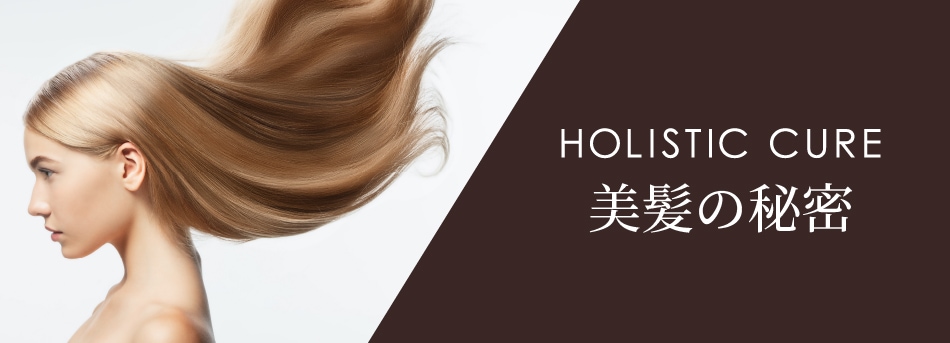  ۥꥹƥå奢 ɥ饤䡼 Rp. HOLISTIC CURE DRYER Rp.