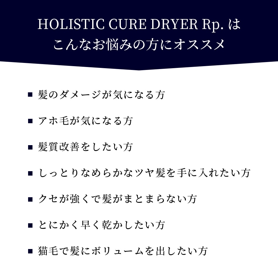 正規通販 ホリスティックキュア ドライヤー Rp. HOLISTIC CURE DRYER Rp.