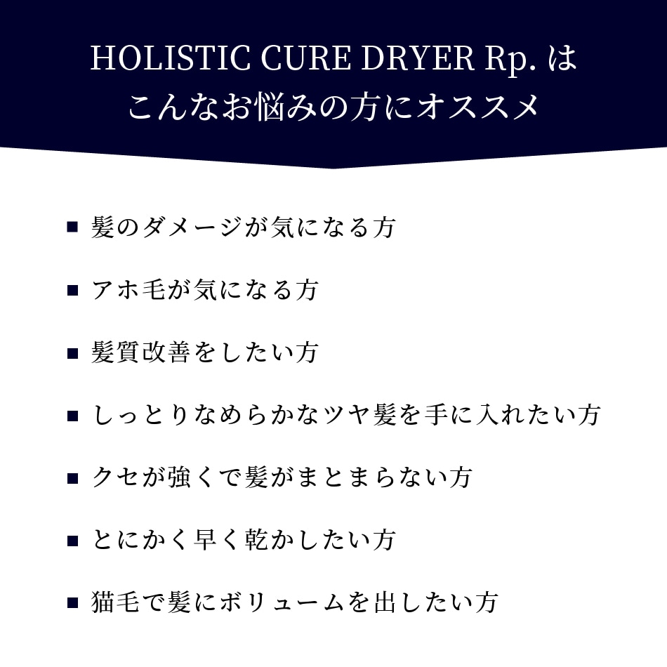  ۥꥹƥå奢 ɥ饤䡼 Rp. HOLISTIC CURE DRYER Rp.