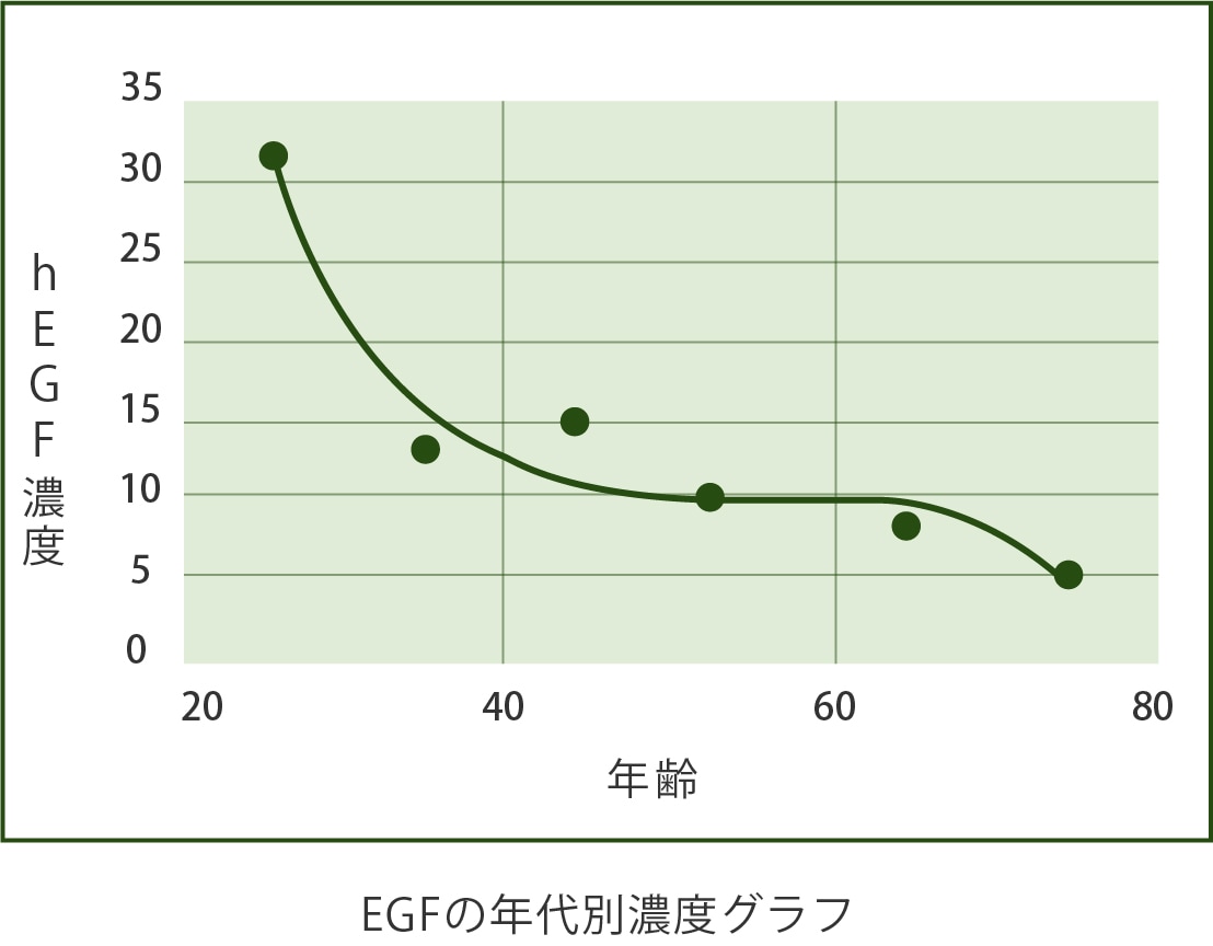 EGFの年代別濃度グラフ