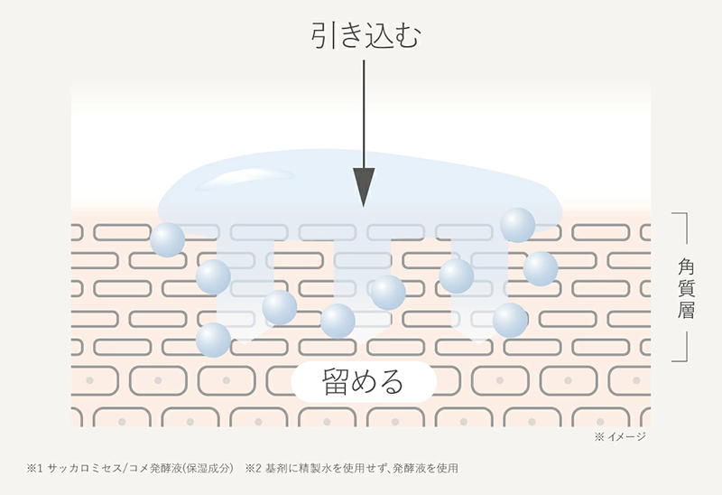 潤いを角質層へ引き込み、留める浸透テクノロジー