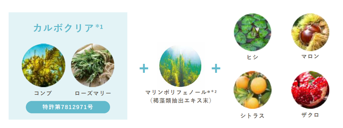 酸化と糖化、カルボニル化をケア