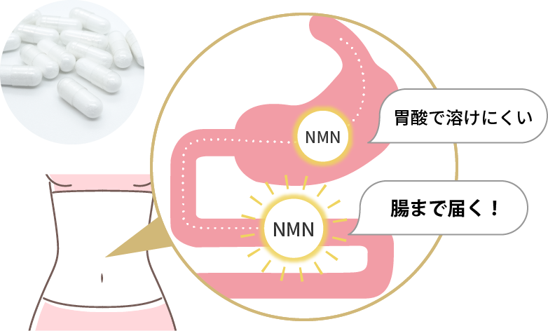 NMN 15000 腸まで届く腸溶性カプセル採用