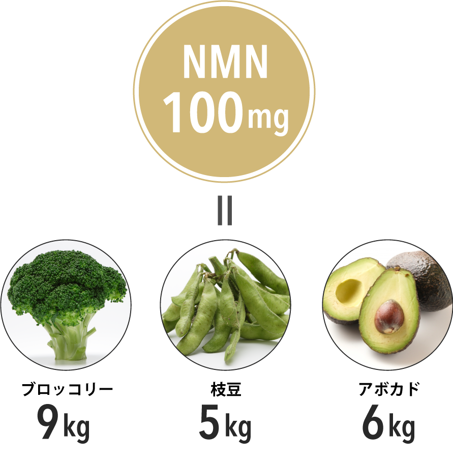 NMN 食品から摂取できるNMNの量はごく微量
