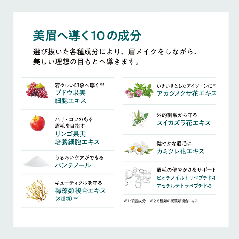 美眉へ導く10の厳選ケア成分
