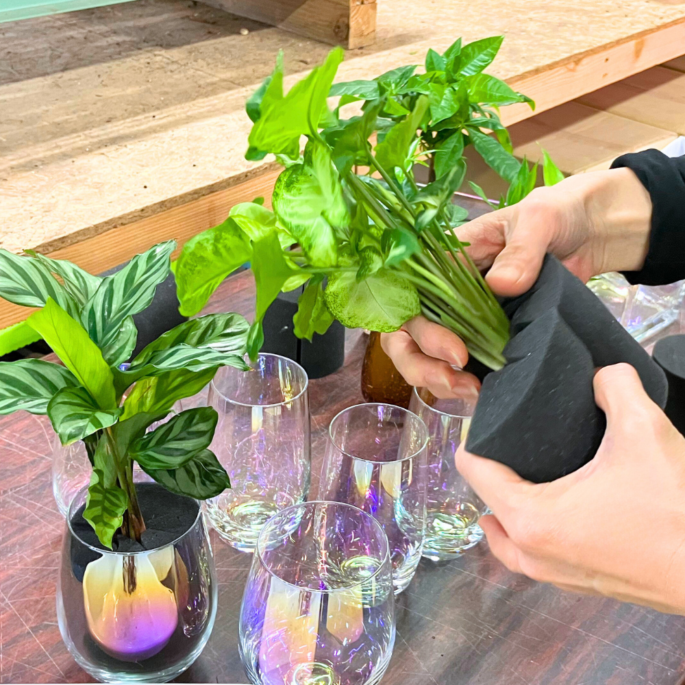 他の植物に植え替えることも可能