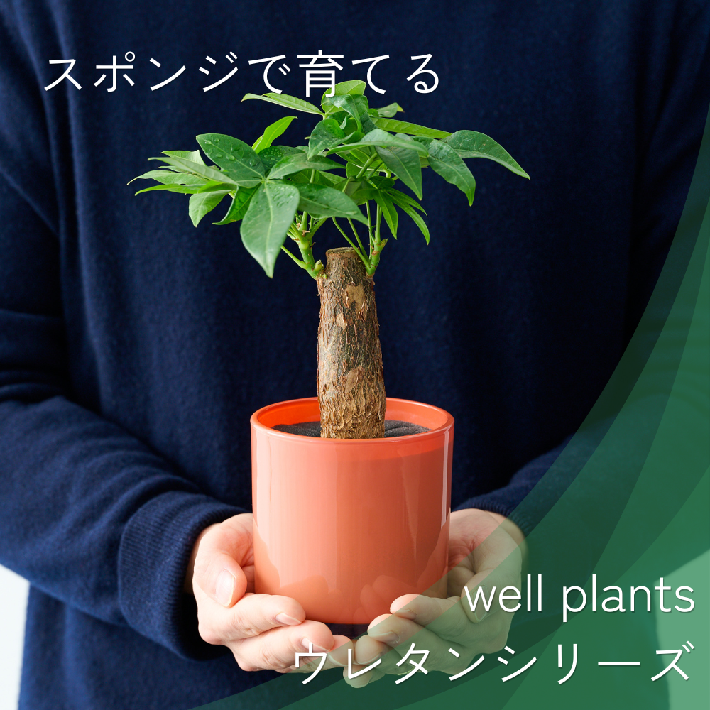 WELL PLANTSウレタンシリーズ