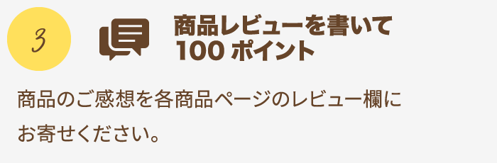 特典3 商品レビューを書いて100ポイント