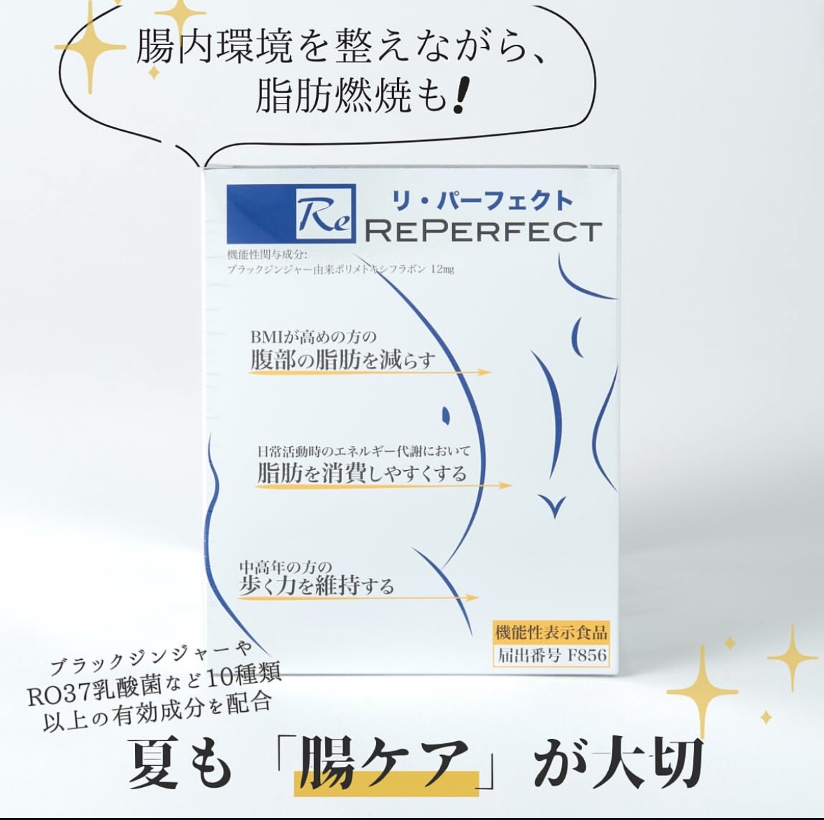 Re Perfect（Reパーフェクト）