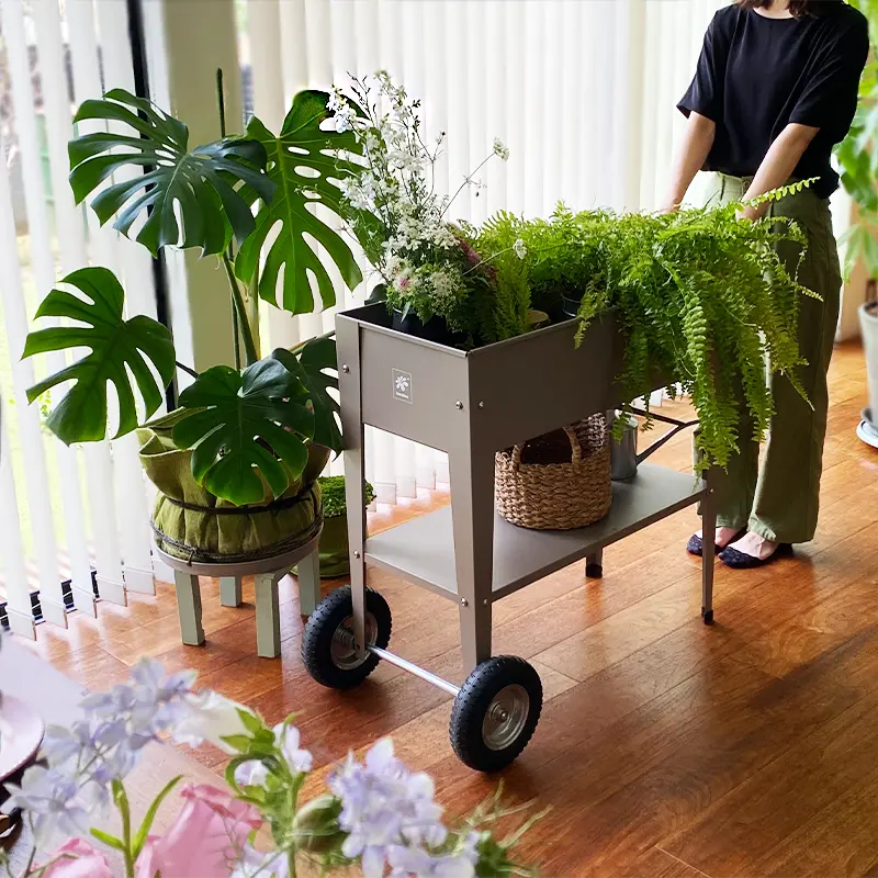 an example image of trolley in use in a room