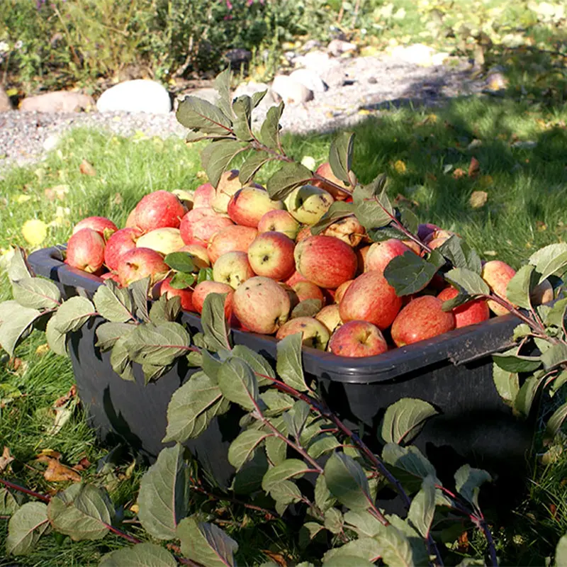 an example image of wheels in use outdoors