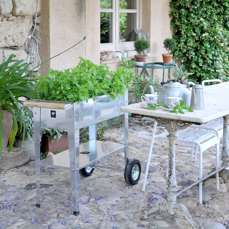 an example image of trolley in use outdoors