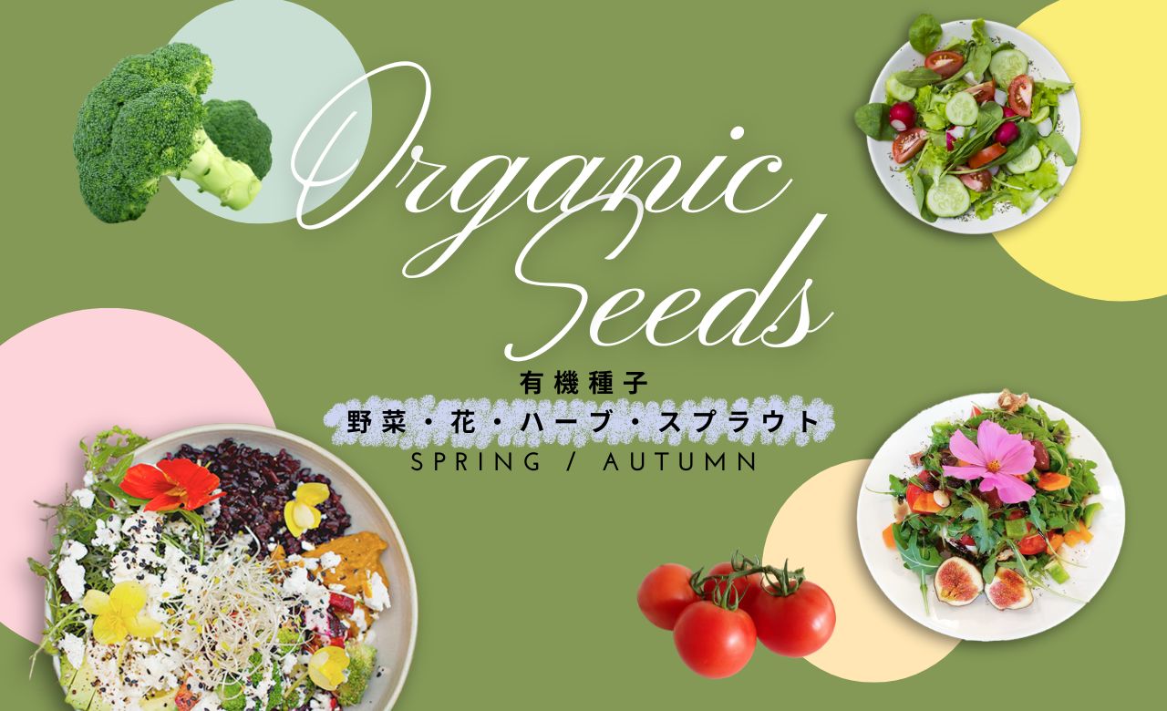 promotion_���͡���ʪ