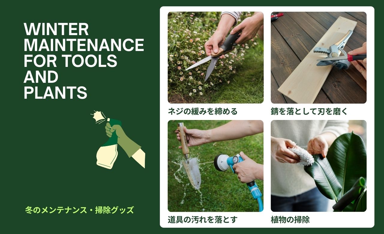 promotion_�ݽ����ƥʥ�