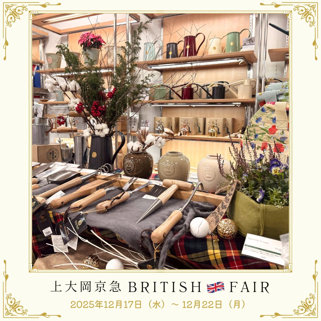 ��Ź�Τ��Τ餻