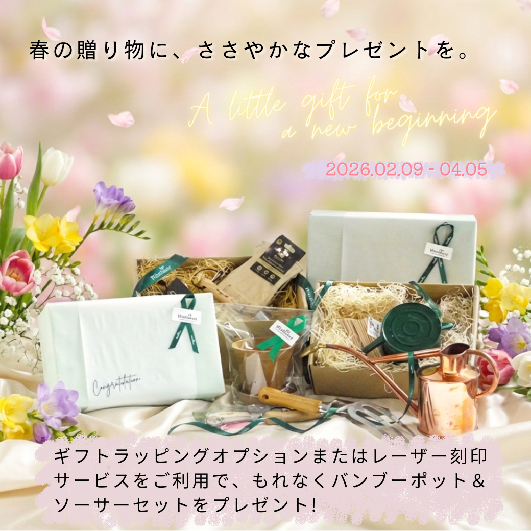 �դΥץ쥼��ȥ����ڡ��� 2026