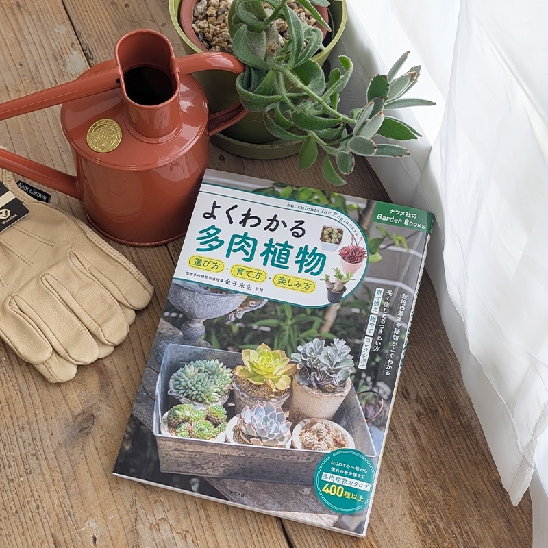 ��ǥ����ǺܤΤ��Τ餻