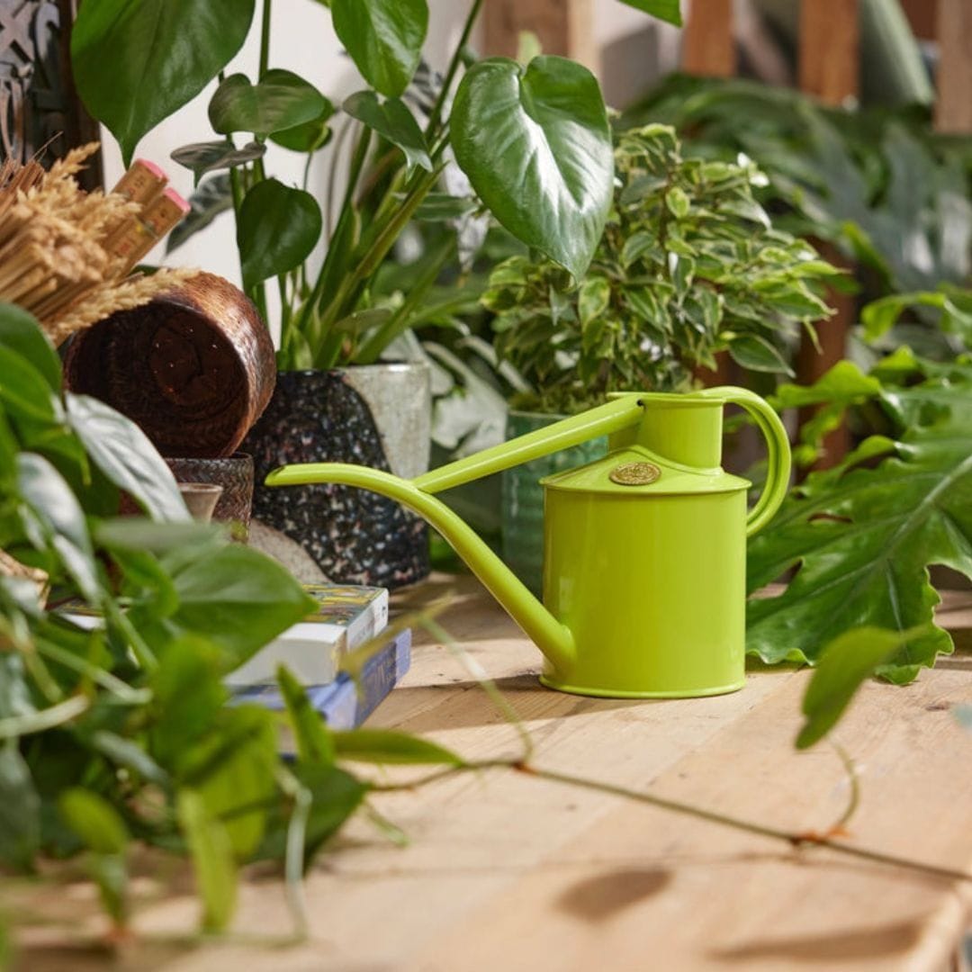 ���祦�����ץ쥼���