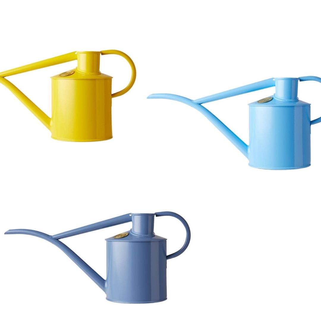 ���祦�����ץ쥼���