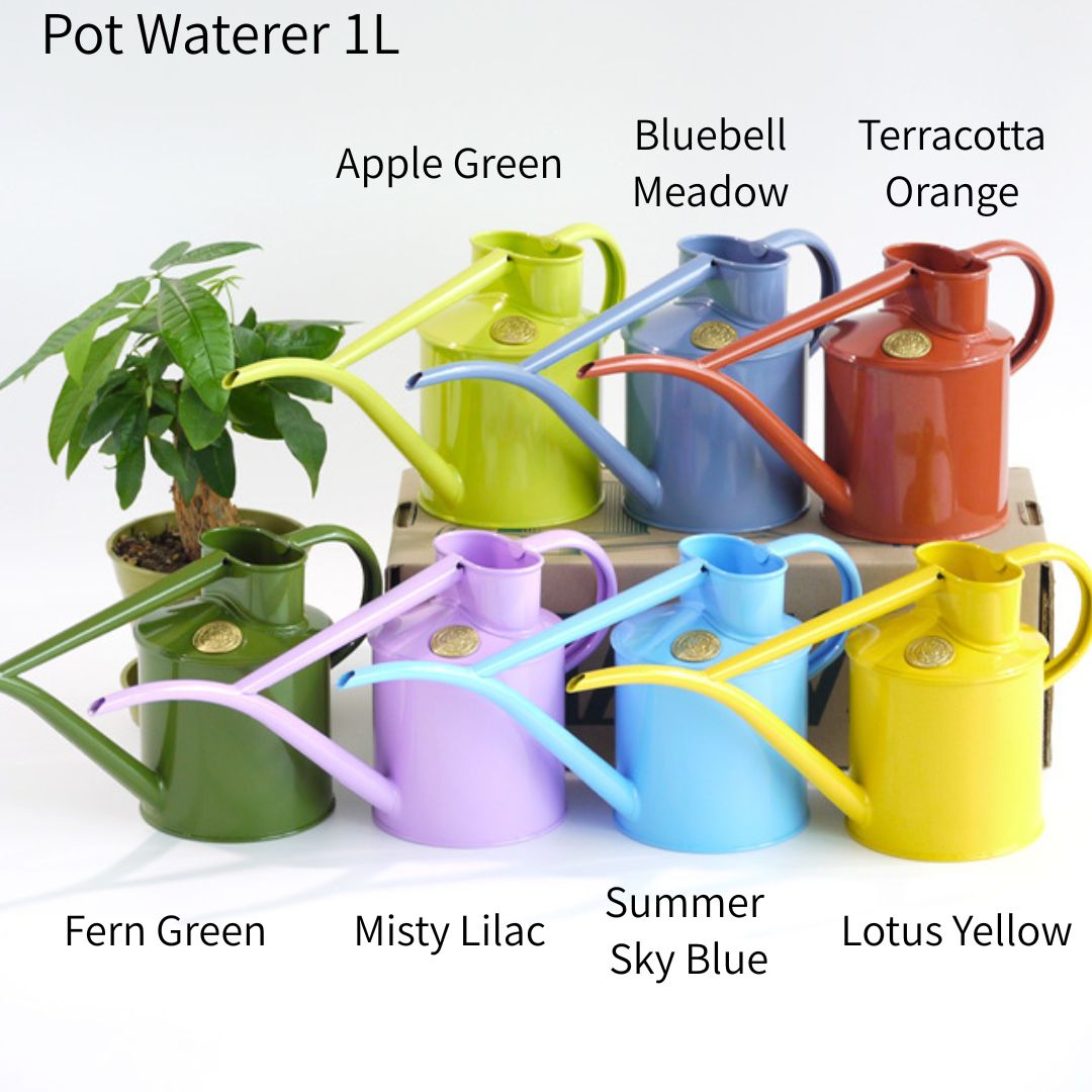 �ѹ񡡿庹����1L