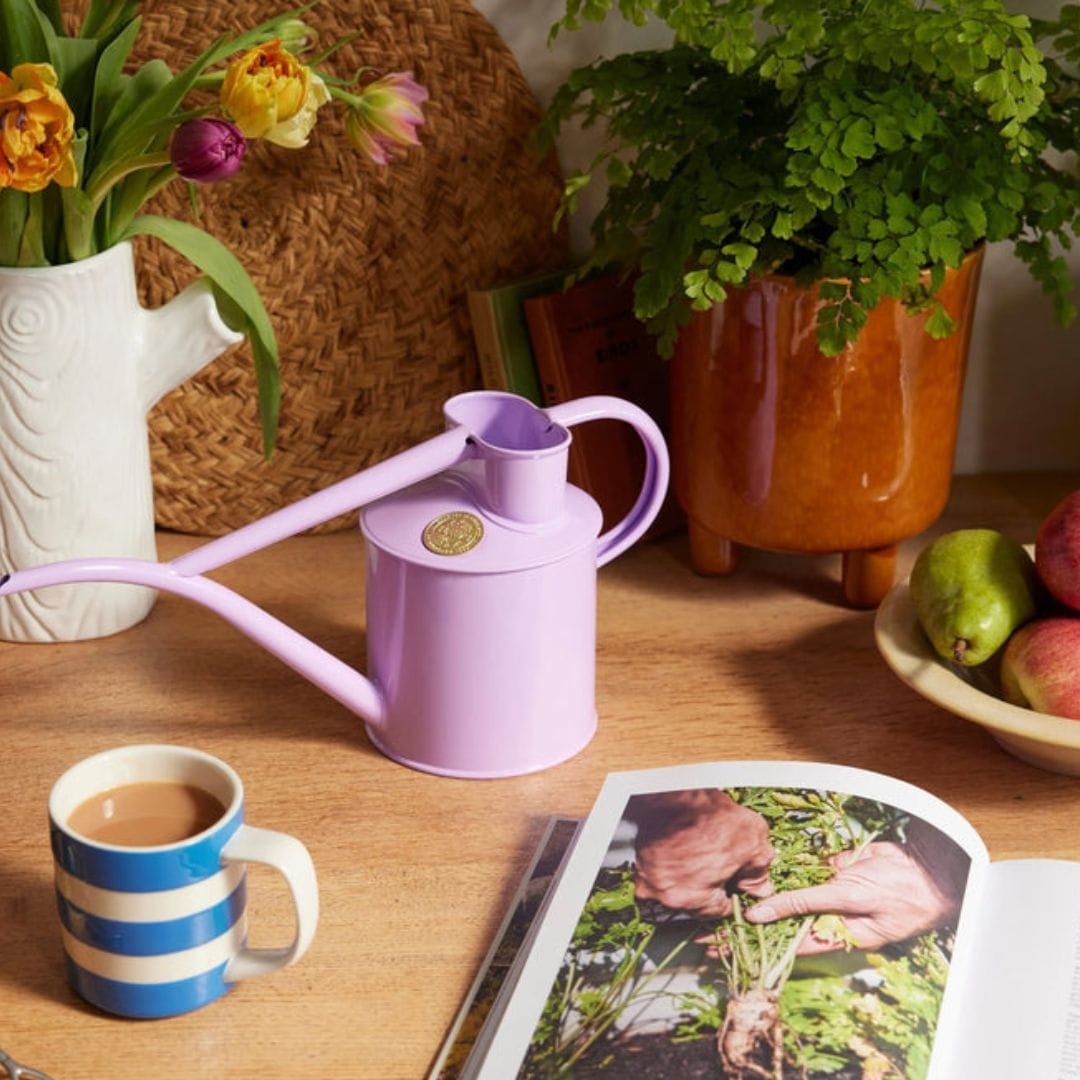 HAWS���祦��