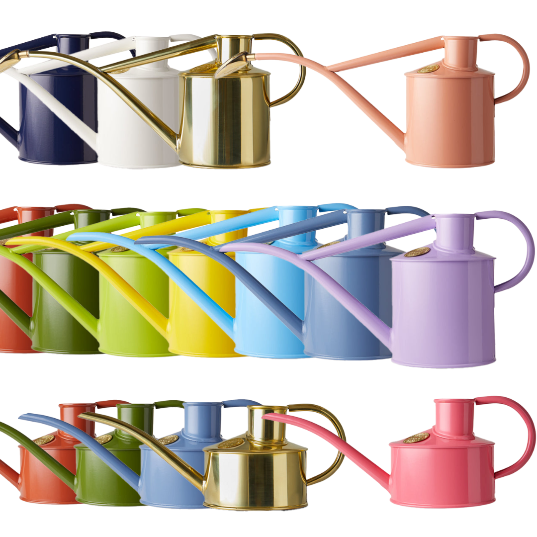 ���礦�������ե�