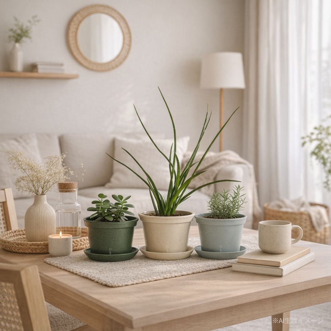 Wexthuset Japan Online Store