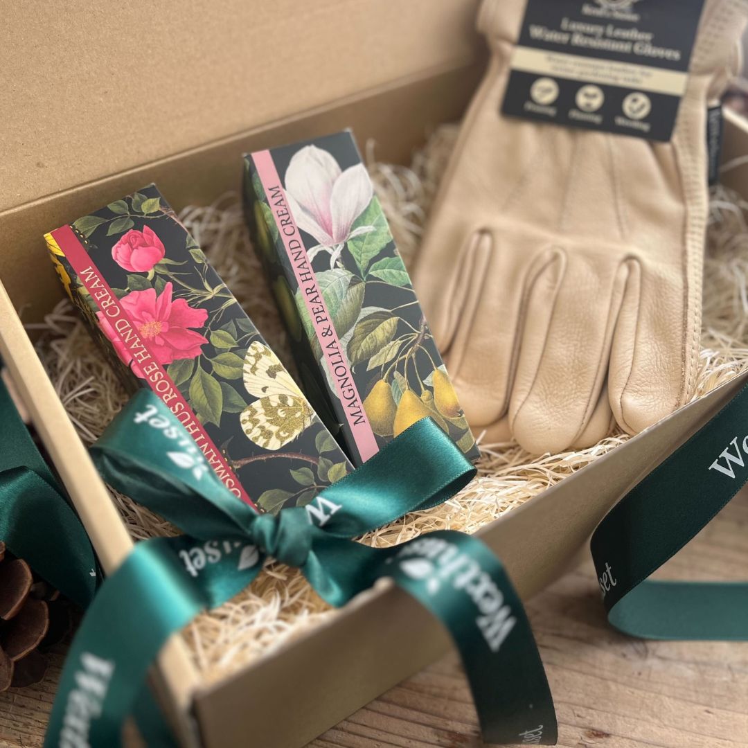 Kew �ϥ�ɥ��꡼��