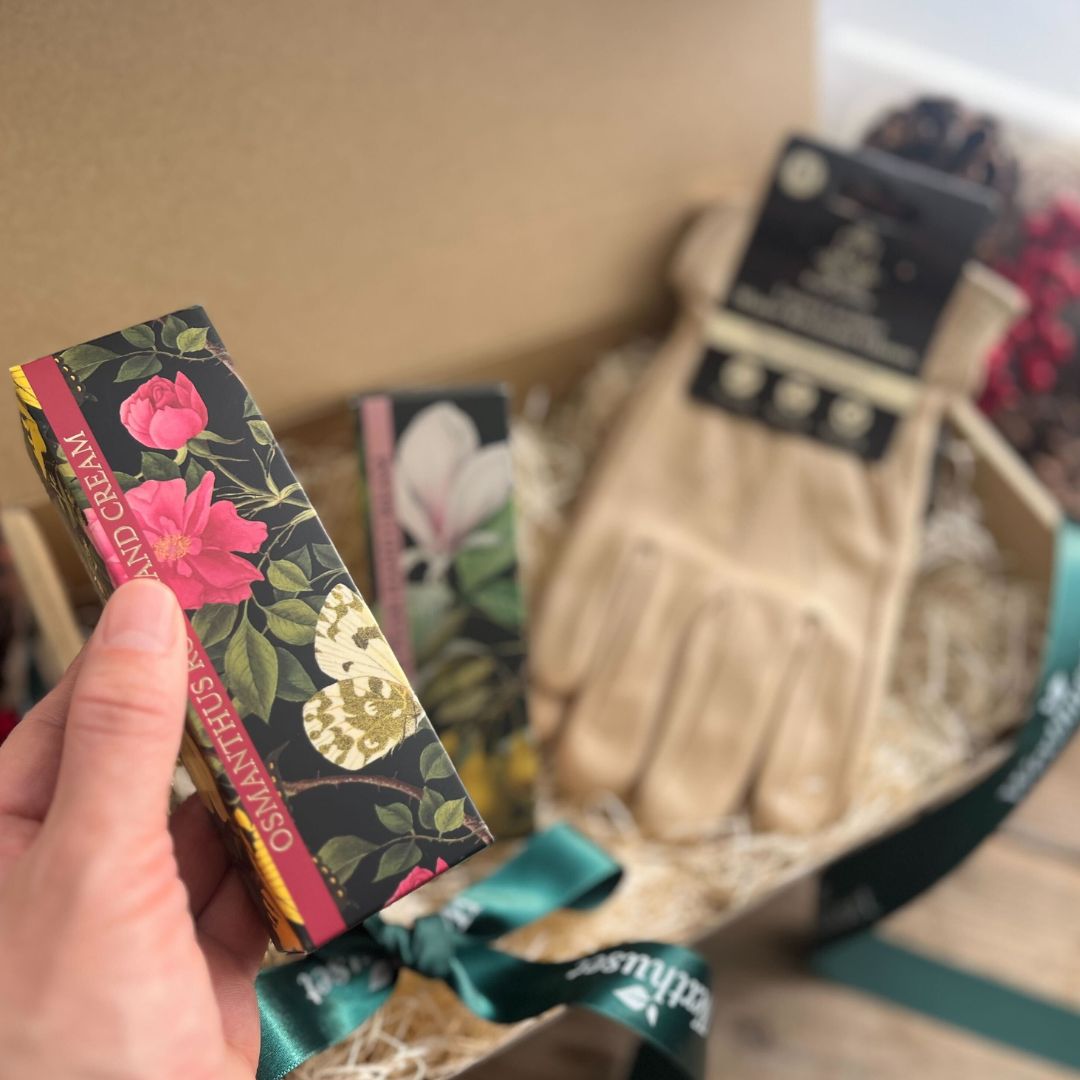 �ϥ�ɥ��꡼�ࡡ��������