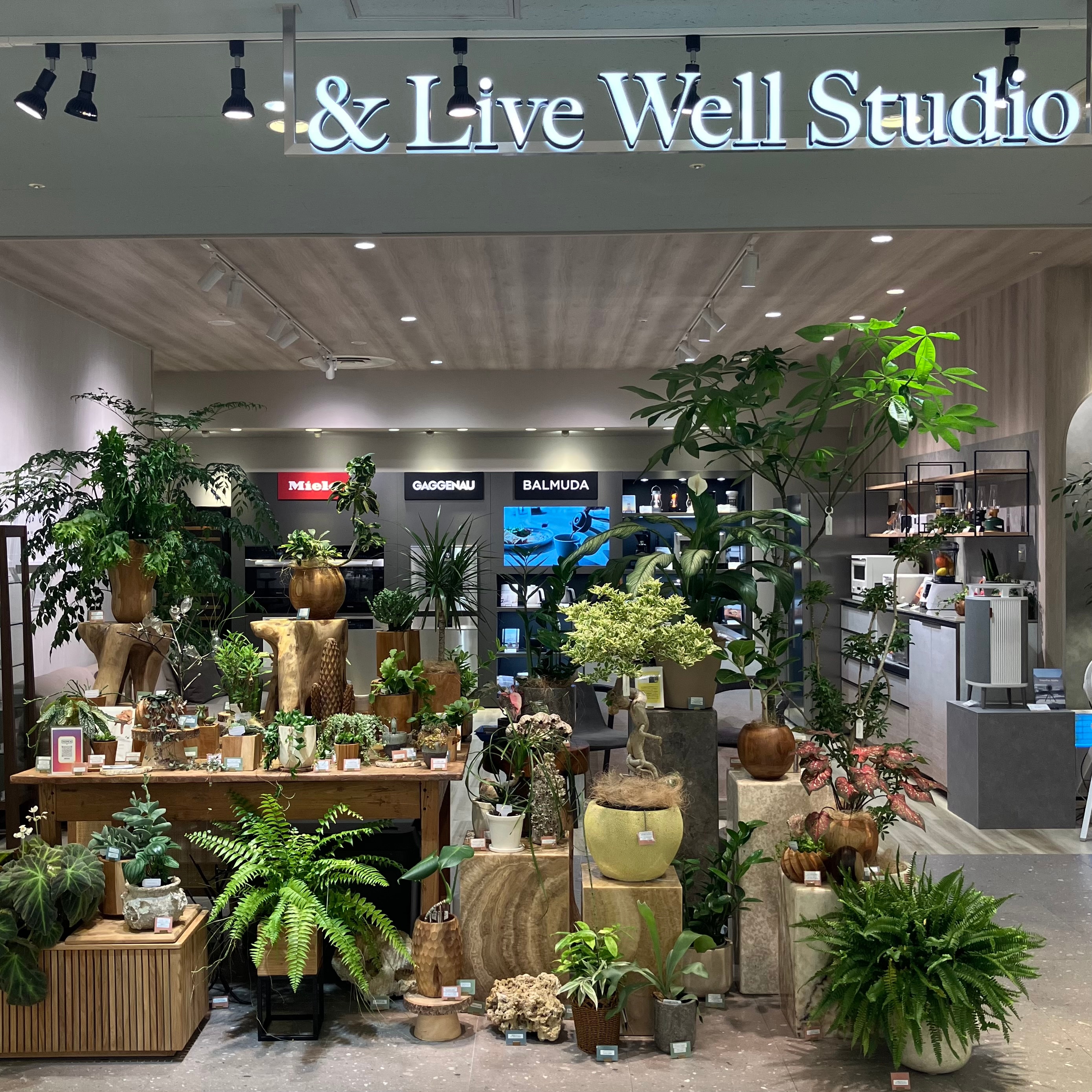 ��Ź����