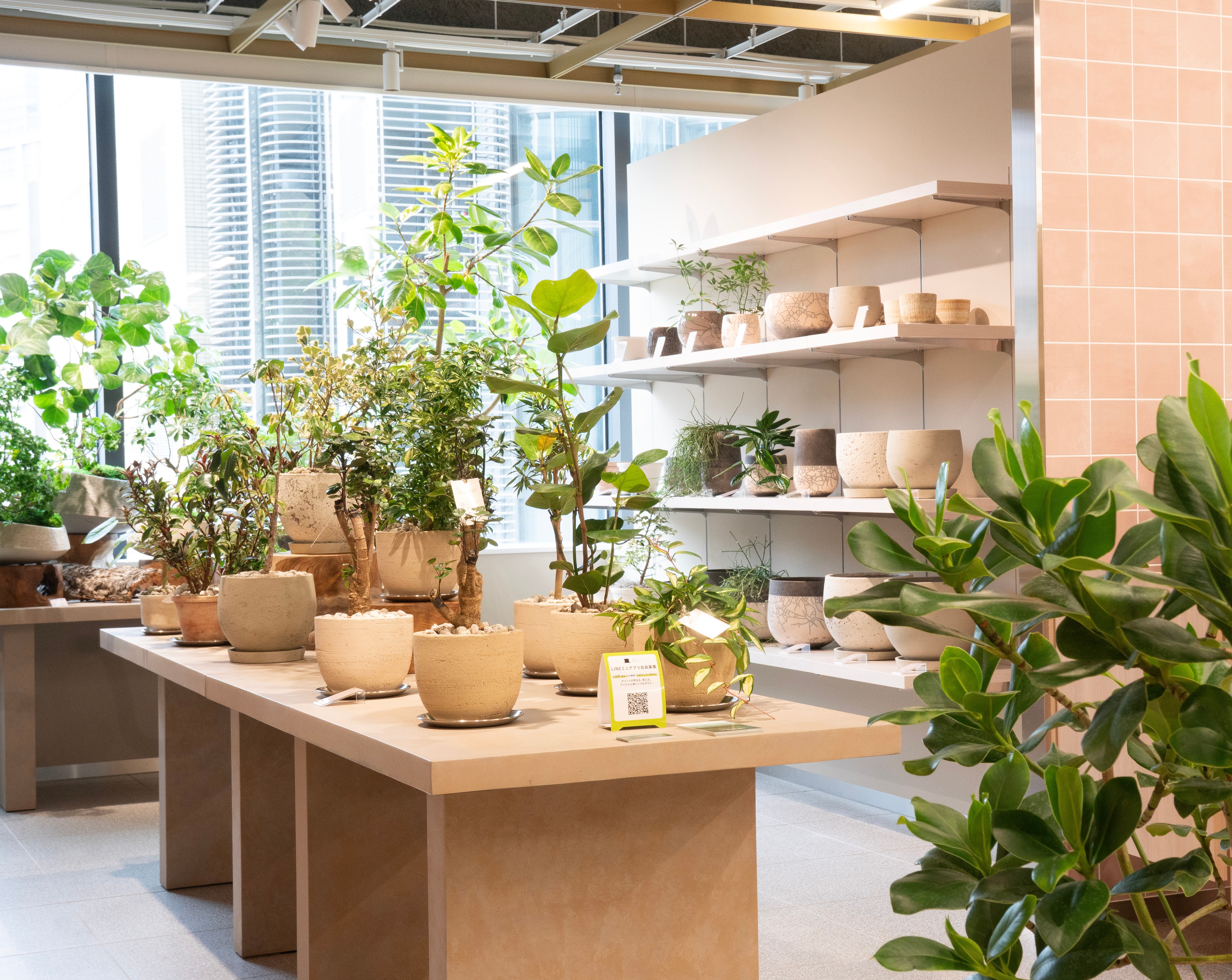 ��Ź����