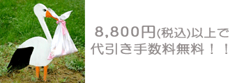 8,800円以上で代引き手数料無料！