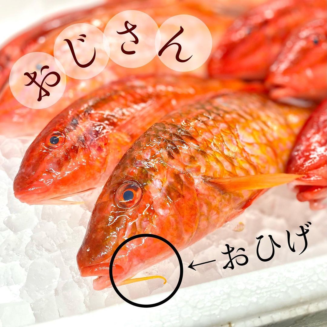 愛媛/エスペランス〉おじさんの切身魚セット