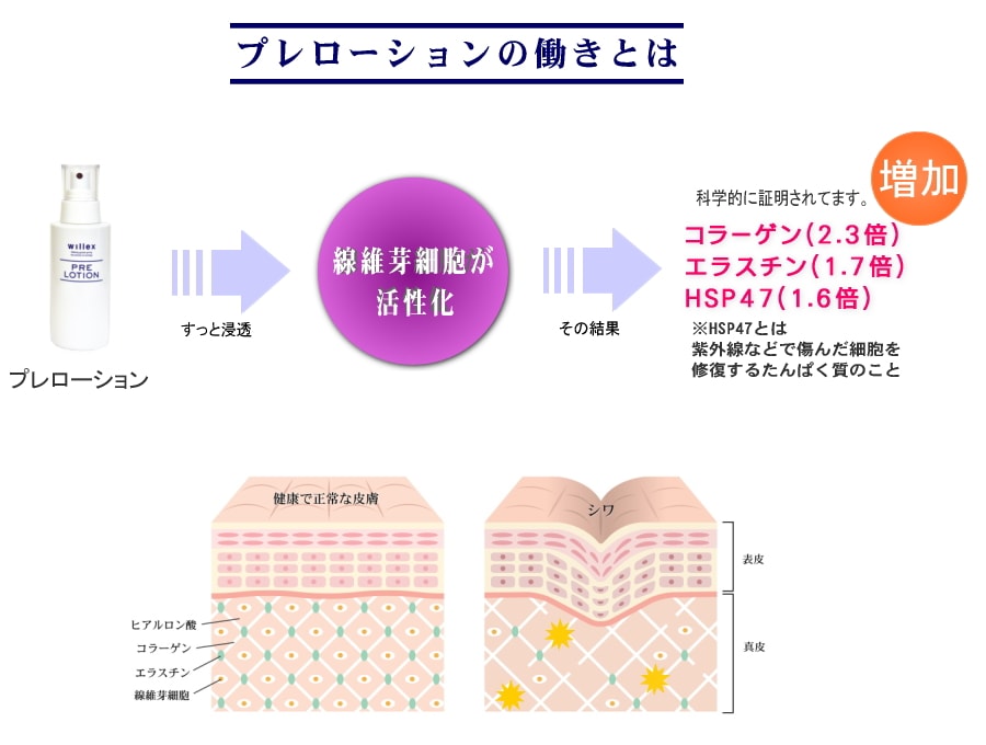 プレローション | スキンケア,ローション | 株式会社 ウイル