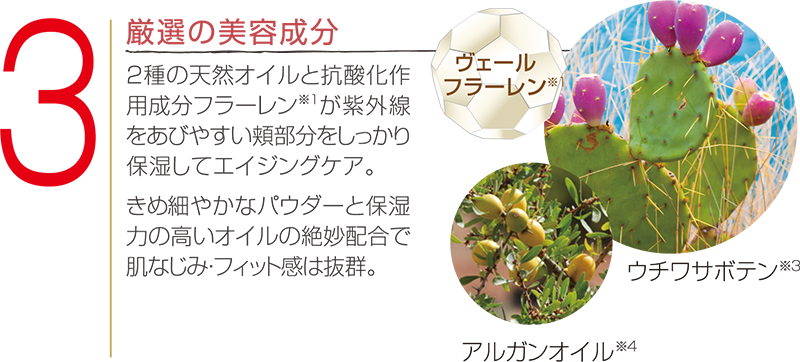 厳選の美容成分