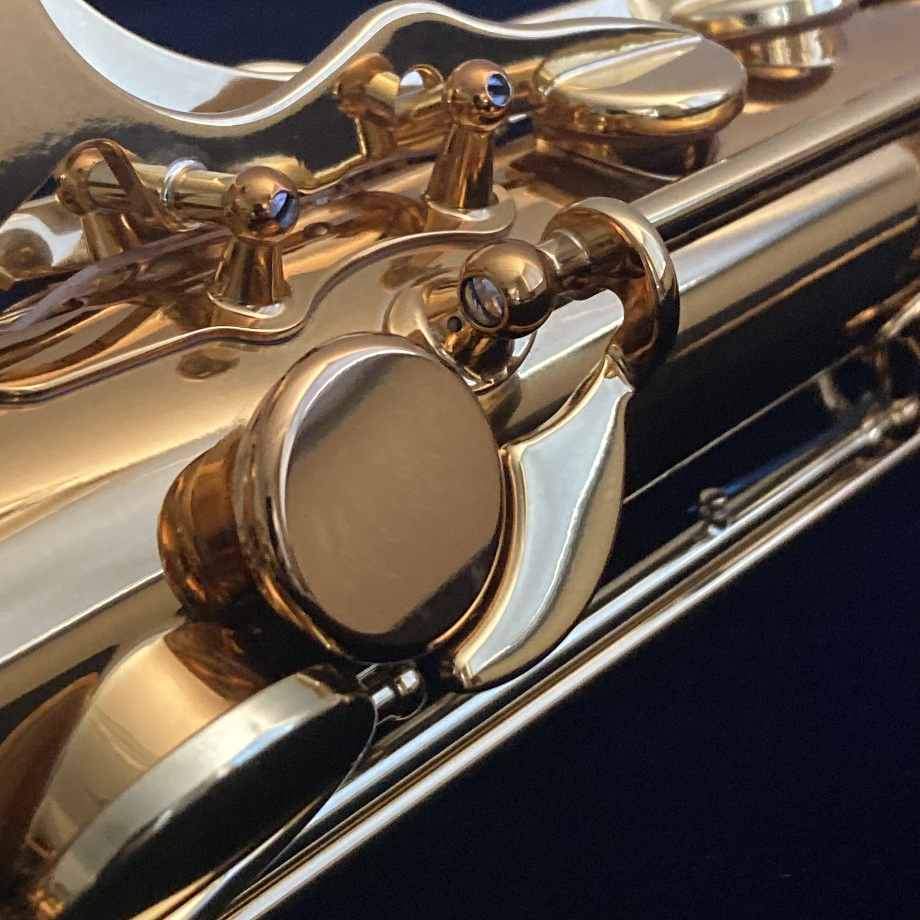 セルマー テナーサックス シュプレーム （SELMER TenorSaxophone