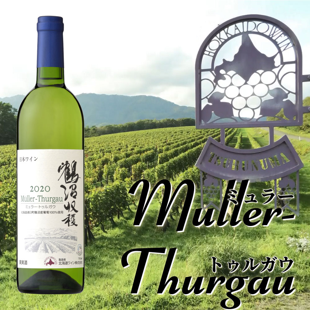 鶴沼ミュラー・トゥルガウ 2019