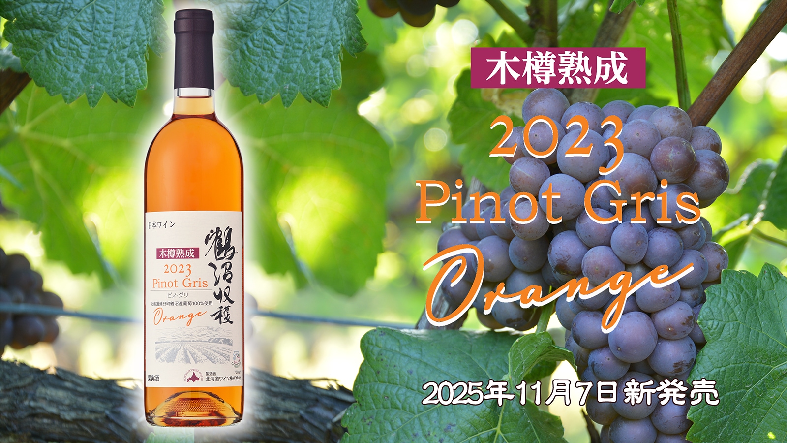 鶴沼ピノ・グリオレンジ2023