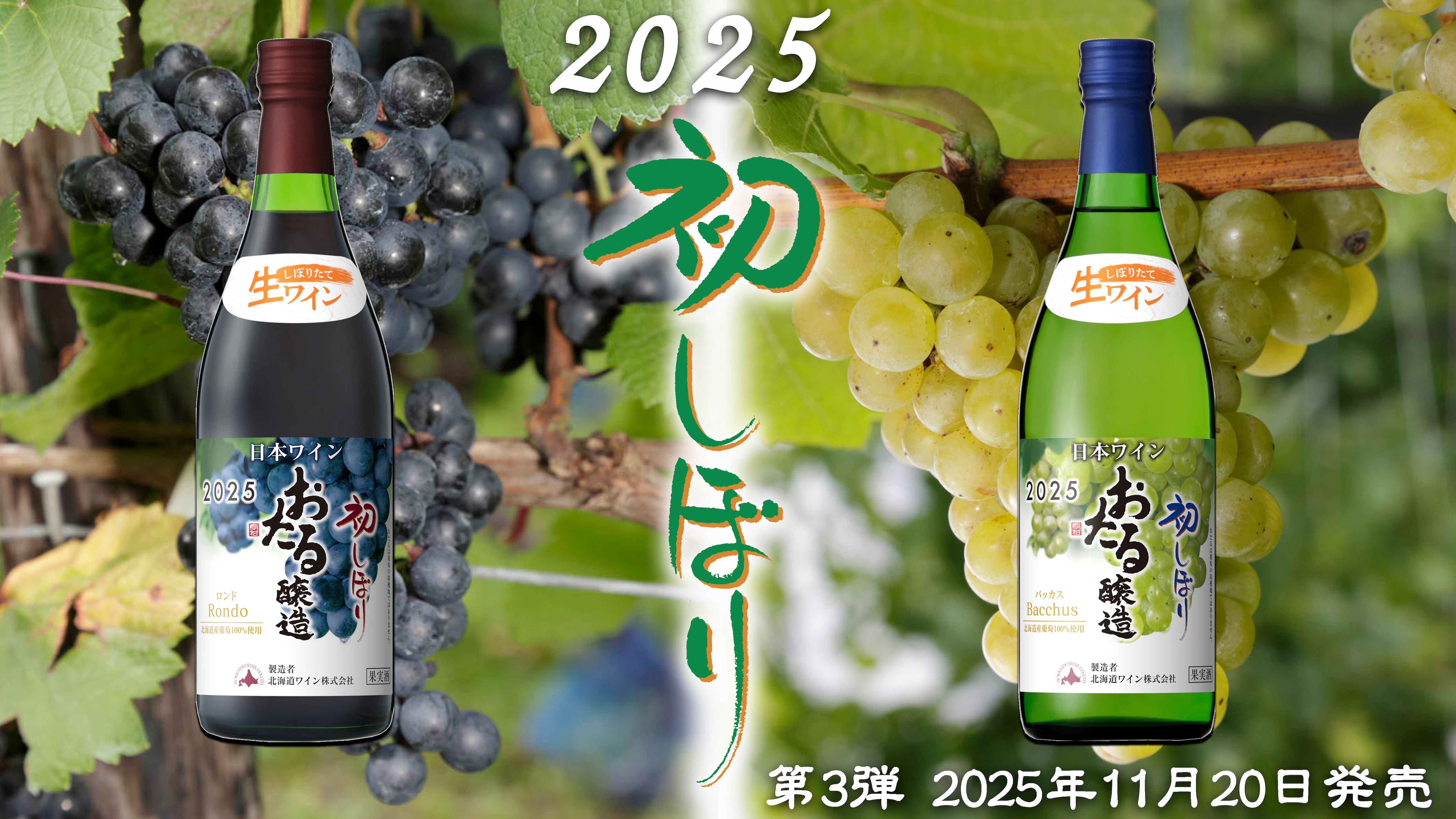 ２０２５年初しぼりセット