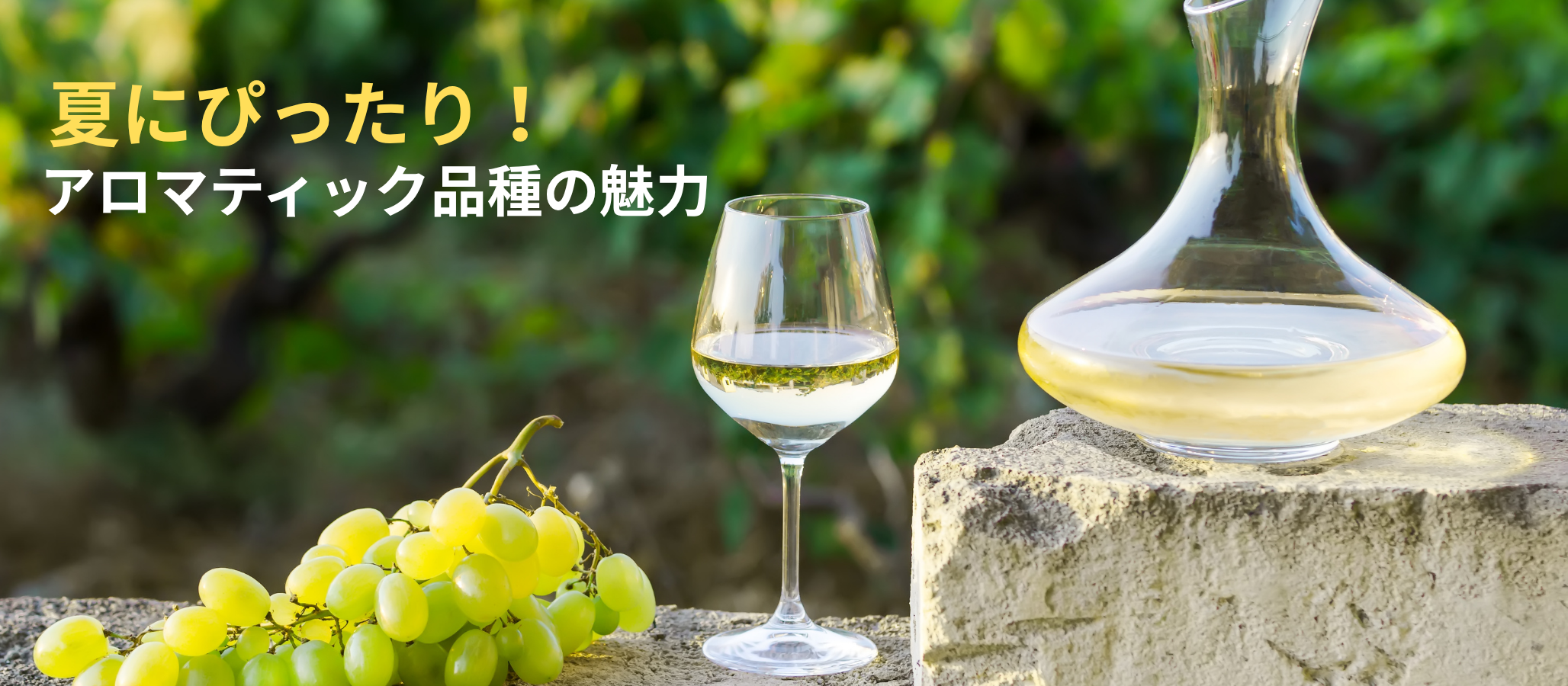 夏にぴったり！アロマティック品種の魅力