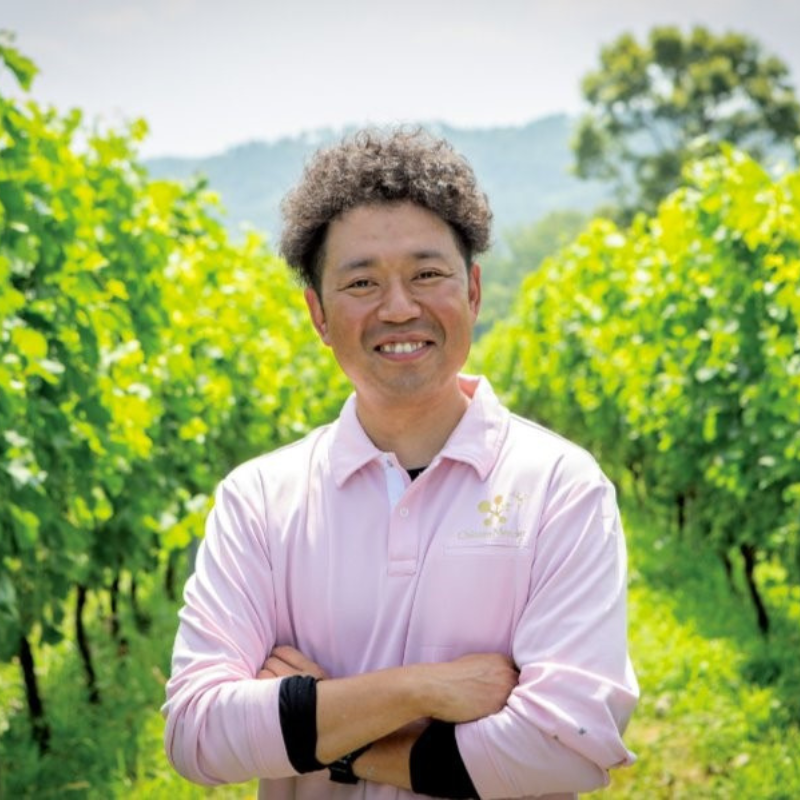 椀子メルロー 樽選抜