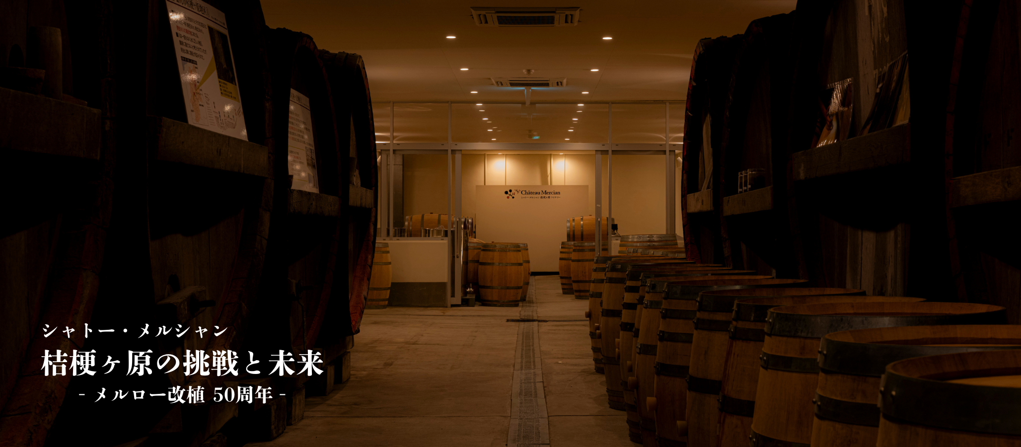 桔梗が原の挑戦と未来画像