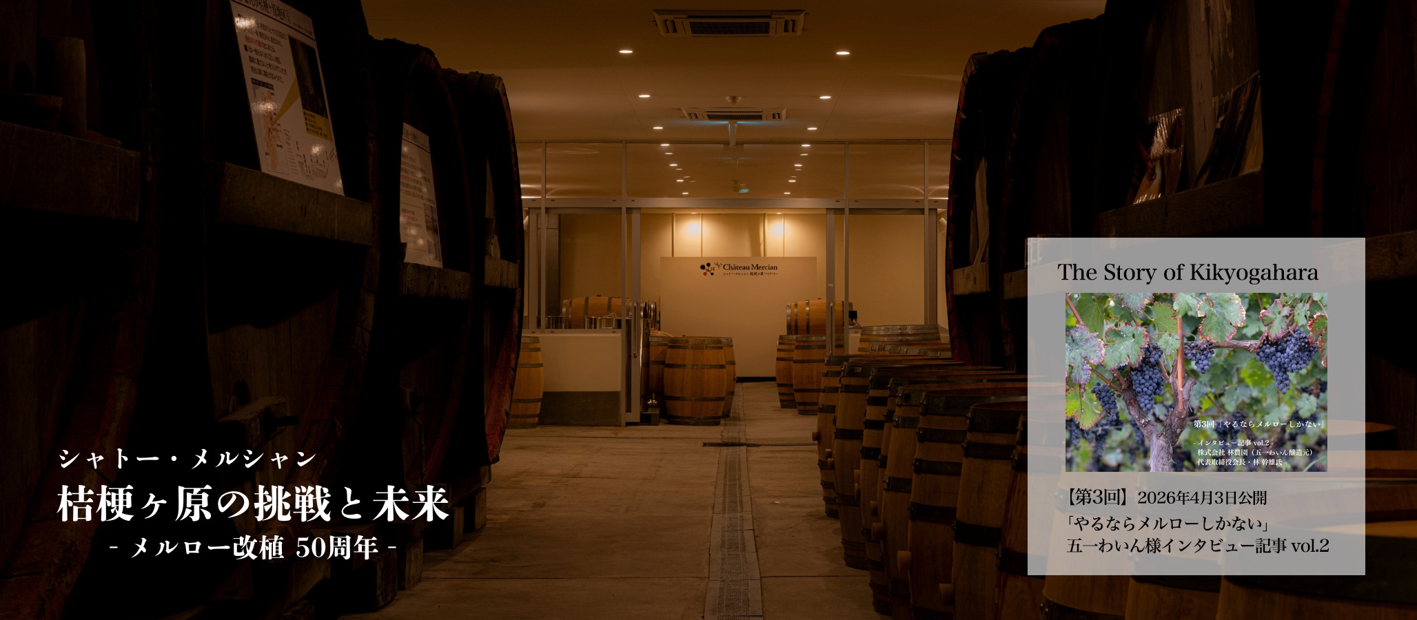 桔梗が原の挑戦と未来画像