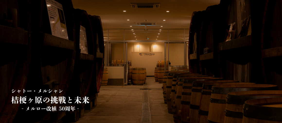 桔梗が原の挑戦と未来