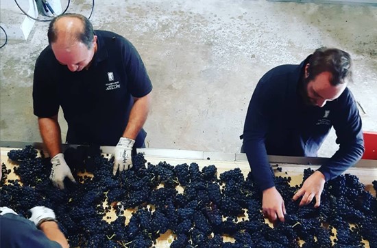 二コラマイヤール レロージュ プルミエクリュ サンスフル ｜ ワイン