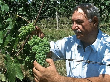 2019】カーゼ・バッセ・ディ・ジャンフランコ・ソルデラ ソルデラ IGP